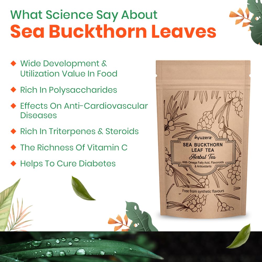 Ayuzera Sea Buckthorn Herbal Leaf Tea - 250gm, 8.8 Ounce | Good For Skin & Immunity, Improves Metabolism - Rich In Antioxidants, Caffeine Free Ayuzera Sea Buckthorn Herbal Leaf Tea - 250gm, 8.8 Ounce | Good For Skin & Immunity, Improves Metabolism - Rich In Antioxidants, Caffeine Free