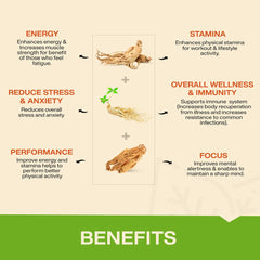 Myfitfuel Ginseng+ Triple Strength Ginseng With Korean, American & Siberian Ginseng, 400mg | 90 Capsules 150gm 0.3lbs