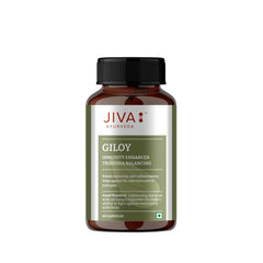 Jiva Giloy For Digestion 100% Pure & Natural Ageing & Immunity Boost, Herbal Supplements, Rich In Antioxidants, Natural Immunity - Booster Herb | 60 Capsules 100gm 0.2lbs Each Pack Of 4