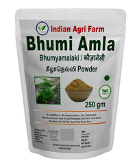 Iagrifarm Organic Bhumi Amla Powder - Bhumyamalaki Keelanelli Nela Usiri Powder, No Added Preservatives | 250gm 0.5lbs