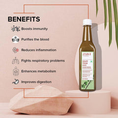 Jiva Natural Giloy Tulsi Juice, Boost Immunity Stamina, Pure, Natural & 100% Ayurvedic Juice, No Preservatives Or Added Sugar | 1 Litre 2.2lbs