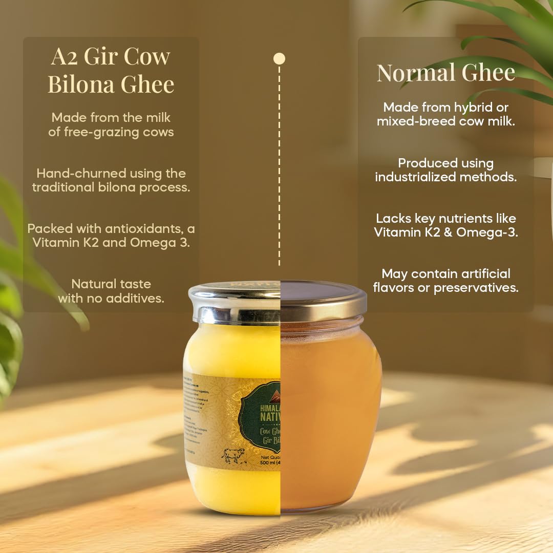100% Natural A2 Gir Bilona Cow Ghee By Himalayan Natives | Highly & Nutritious Traditional Bilona Method Cow Ghee For Muscles Growth | (500ml) 16.9 Ounce | Jar Pack 100% Natural A2 Gir Bilona Cow Ghee By Himalayan Natives | Highly & Nutritious Traditional Bilona Method Cow Ghee For Muscles Growth | (500ml) 16.9 Ounce | Jar Pack