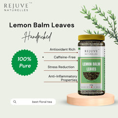 Rejuve Naturelles Premium Lemon Balm Leaves Herbal Tea - 50gm, 1.7 Ounce | Freshly Packed & Natural Herbal Tea - Stress Relief Tea | Caffeine Free, Antioxidant Rich - Premium Pet Jar
