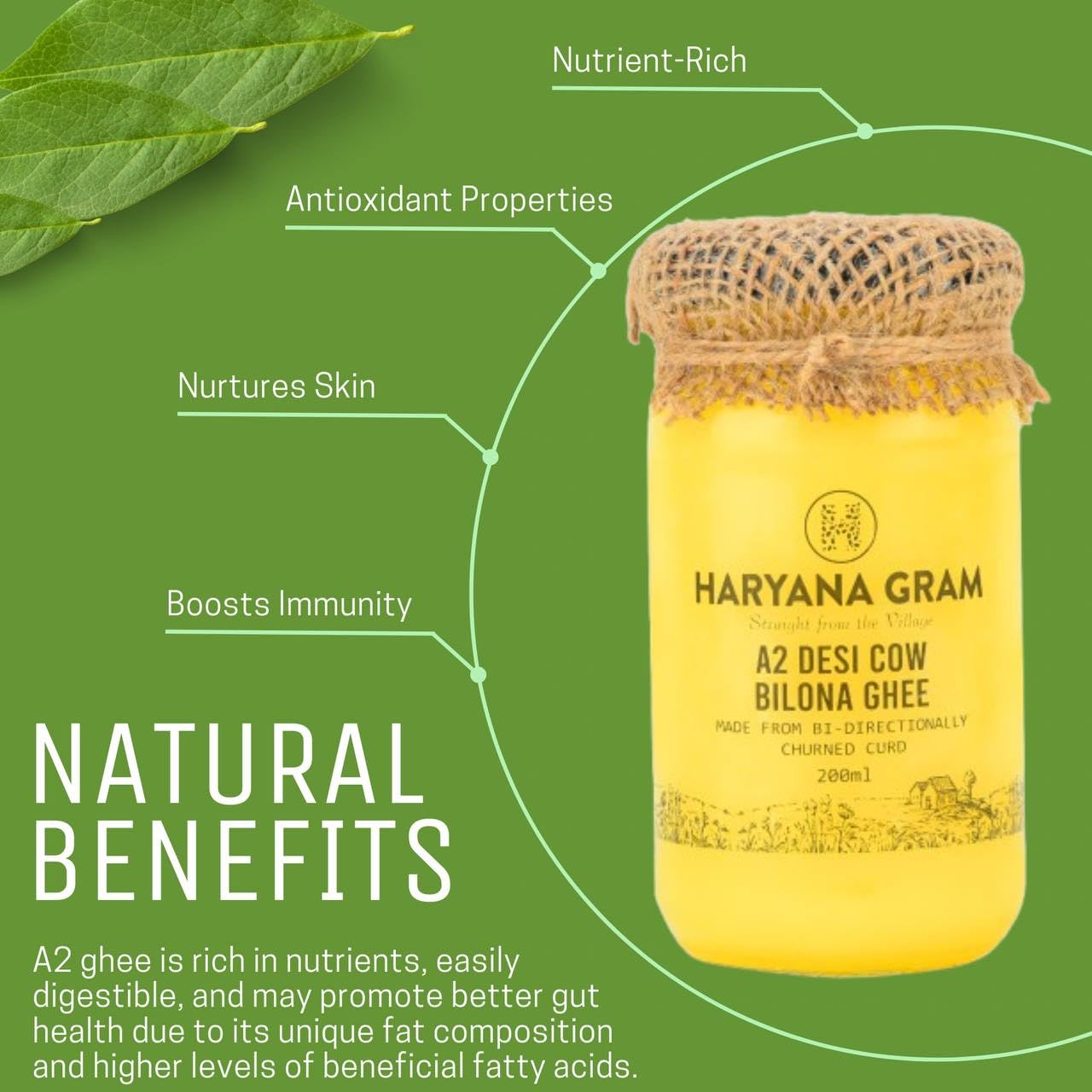 Organic A2 Desi Cow Bilona Ghee With Neem Wood Spoon By Haryana Gram | Rich In Vitamin A, D & Minerals Healthy Desi Ghee Good For Skin Health | (1 Litr) 33.8 Ounce | Jar Pack Organic A2 Desi Cow Bilona Ghee With Neem Wood Spoon By Haryana Gram | Rich In Vitamin A, D & Minerals Healthy Desi Ghee Good For Skin Health | (1 Litr) 33.8 Ounce | Jar Pack