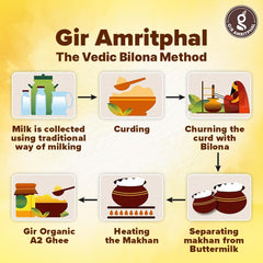 Premium A2 Bilona Gir Cow Desi Ghee By Gir Amritphal | Good Source Of Healthy Desi Cow Ghee For Protact Eyesight | (300ml) 10.1 Ounce | Container Jar