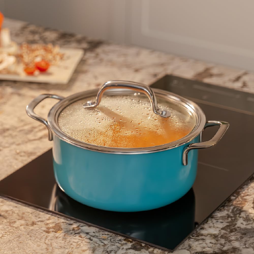 Vida Stainless Steel Triply Pot With Glass Lid - 20 Cm, 3 Liters | Bhagona For Biryani, Pulao, Halwa, Curries - Rivet Less Handle | Induction & Gas Base - Stock Pot With Lid Vida Stainless Steel Triply Pot With Glass Lid - 20 Cm, 3 Liters | Bhagona For Biryani, Pulao, Halwa, Curries - Rivet Less Handle | Induction & Gas Base - Stock Pot With Lid