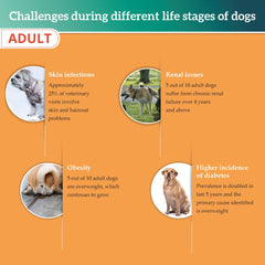 Himalaya Healthy Pet Food – Adult, Complete & Balanced Food For Dogs | 3 Kg