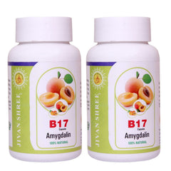 Jivan Shree Vitamin B17 500 Mg Purest Amygdalin 99.5% (Apricot Kernel) Extract 100% Organic Natural Antioxidant Immune Booster | 60 Capsules, 100gm 0.2lbs Each Pack Of 2