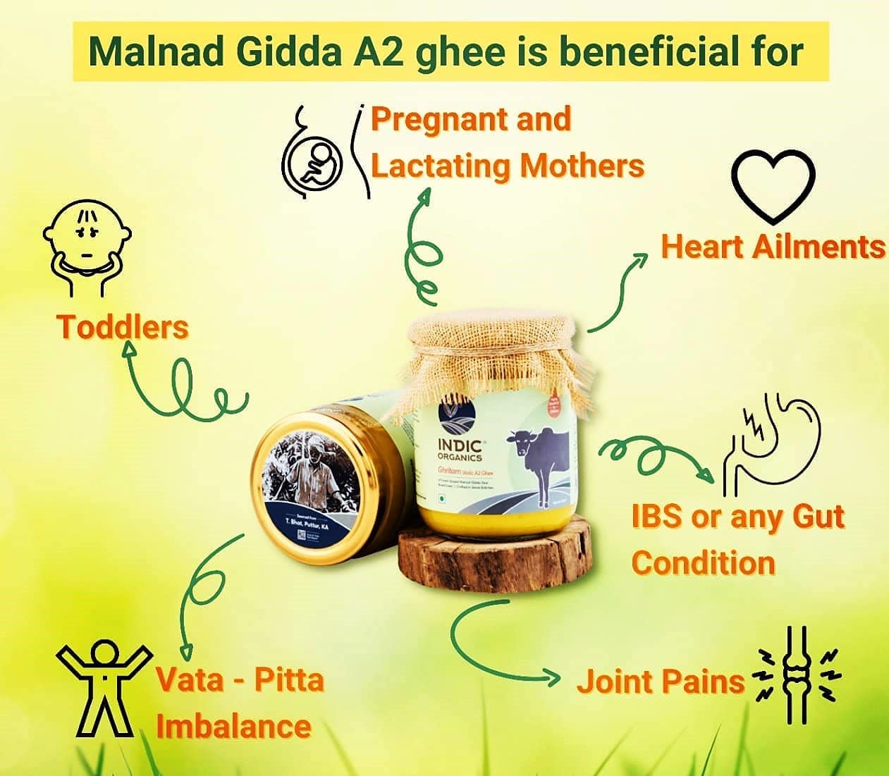 Premium Ghritam Vedic A2 Ghee By Indic Organics | Good Source Of Healthy & Nutritious Desi Cow Ghee For Protact Eyesight | (250ml) 8.4 Ounce | Jar Pack Premium Ghritam Vedic A2 Ghee By Indic Organics | Good Source Of Healthy & Nutritious Desi Cow Ghee For Protact Eyesight | (250ml) 8.4 Ounce | Jar Pack