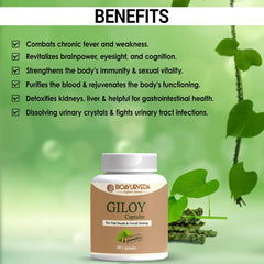 Bioayurveda Giloy Capsule Strengthens Immunity Wellness, Guduchi, Help In Boosting Immunity & Helps Enhancing Overall Immune Function | 30 Capsules 50gm 0.1lbs