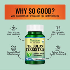 Morpheme Remedies Tribulus Terrestris 500mg, Helps Provide Energy & Stamina | 60 Veg Capsules 100gm 0.2lbs