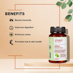 Jiva Amla Tablets 500mg 100% Pure Herbs Used, Rich In Vitamin C, Protects Against Free Radicals | Rich In Antioxidants, Improves Digestion, Enhances Vision | 120 Tablet 200gm Each Pack Of 2