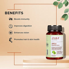 Jiva Amla Tablets 500mg 100% Ayurvedic Tablets, Rich In Vitamin C | 60 Tablets 100gm 0.2lbs
