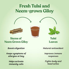 Kapiva Wild Tulsi Giloy Juice Fresh Tulsi & Neem - Grown Giloy To Support Immune Health, Helps Us Keep Allergies Like Runny Nose & Sneezing | 1 Litre 2.2lbs Each Pack Of 2