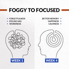 Matsya Veda Memrex Complete Brain Nutrition With Brahmi, Shankhpushpi & Kesar, 10+ Ayurvedic Ingredients With Sugar | 250gm 0.5lbs