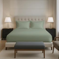 Plain Cotton Elastic Fitted Bedsheets Queen Size Two Pillow Cover - 63 X 78 Inches, Sea Foam | Breathable & Smooth Bedding Wrinkles | Elegant Hotel Like Look