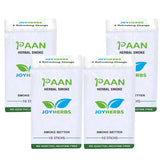Ayurvedic Herbs Tobacco Alternatives | Non Addictive Paan Flavour 40 Sticks - Tobacco & Nicotine Free