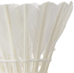 Spanco Feather Badminton Shuttlecock , Suitable For Training & Tournament , Strong Eva Based Cork | White , Pack Of 12