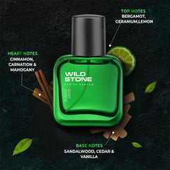Wild Stone Forest Spice Eau De Perfume For Men 30ml 1.0 Fl.oz. | Long Lasting Fragrance