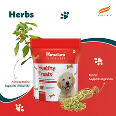 Himalaya Healthy Dog Biscuit Treats (Puppy), Chicken, Suitable For Puppies Age Up To 18 Months | 500gm