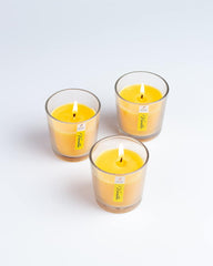 VANILLA FRAGRANCE VOTIVE GLASS CANDLES SET OF 3 | BURNING TIME 12 HOURS