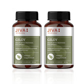 Jiva Giloy For Digestion 100% Pure & Natural Ageing & Immunity Boost, Herbal Supplements, Rich In Antioxidants, Natural Immunity - Booster Herb | 60 Capsules 100gm 0.2lbs Each Pack Of 2