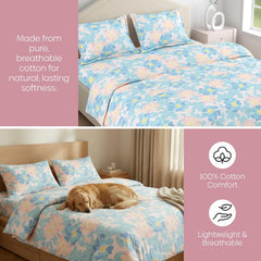 Bedsheet Double Bed For Queen Size - 100 X 90 Inches 2 Pillow Cover, Sky Blue | Ideal For Everyday Use | Soft, Skin-Friendly & Durable Cotton Fabric