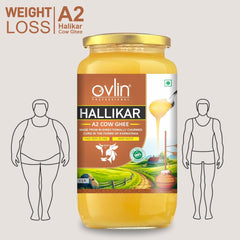 Pure Natural Hallikar A2 Cow Ghee By Ovlin Professional | Rich In Nutrients & Vitamins Healthy Desi Cow Ghee Perfect For Body Joint Pain | (500ml) 16.9 Ounce | Jar Pack