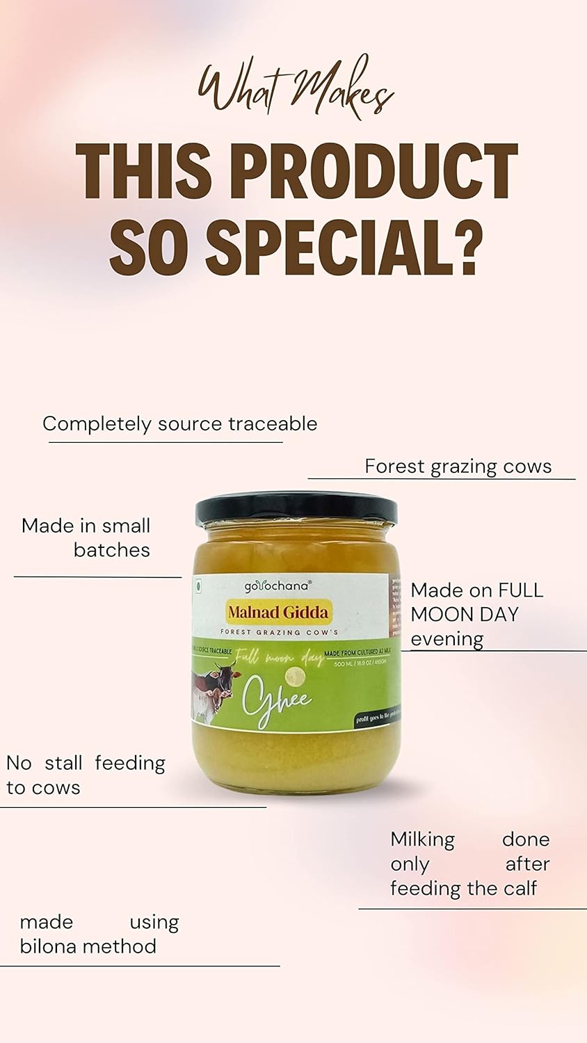 Natural Malnad Gidda Cow Ghee By Gorochana | Rich In Nutrients & Immunity Natural & Healthy Cultured Desi Ghee | (500ml) 16.9 Ounce | Jar Pack Natural Malnad Gidda Cow Ghee By Gorochana | Rich In Nutrients & Immunity Natural & Healthy Cultured Desi Ghee | (500ml) 16.9 Ounce | Jar Pack