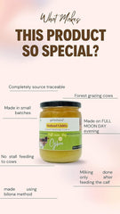Natural Malnad Gidda Cow Ghee By Gorochana | Rich In Nutrients & Immunity Natural & Healthy Cultured Desi Ghee | (500ml) 16.9 Ounce | Jar Pack
