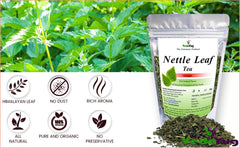 VedaYug Nettle Leaf Tea - 100gm, 3.5 Ounce | Treats Painful Muscles, Rich Aroma & Flavor - No Preservatives, No Additives