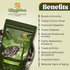 Dayakishan Dry Giloy Stem, Raw Giloi, Cleaned Geeloh, Graded Guduchi, Amrita - Amruta, Whole Tinospora Cordifolia, Giloyvatti, Immunity Booster | 100gm 0.2lbs