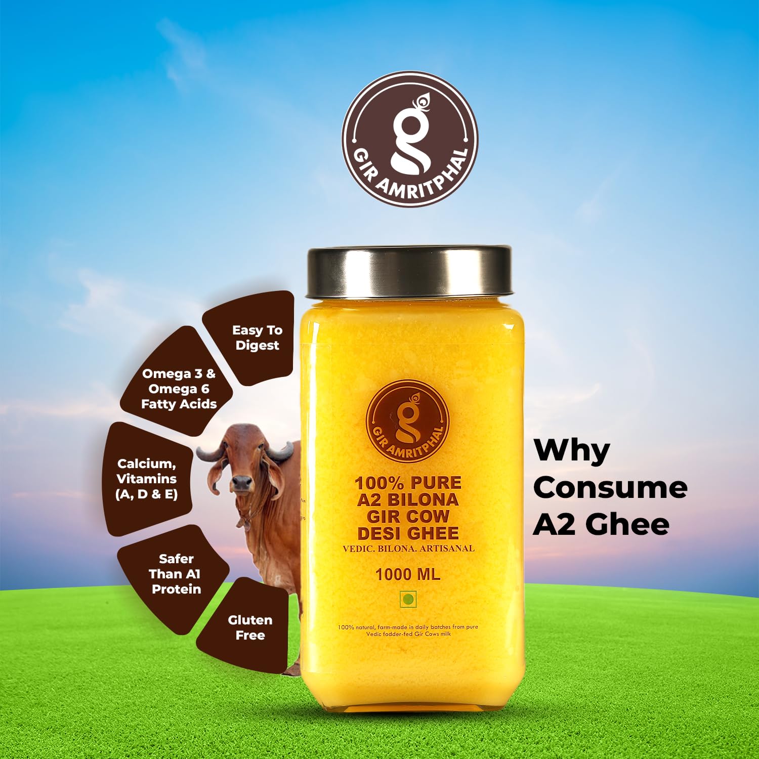 100% Natural Cow Ghee A2 Bilona Gir Cow Desi Ghee By Gir Amritphal | Good Source Of Healthy Desi Cow Ghee Perfect For Improves Hair Health | (1 Litr) 33.8 Ounce | Jar Pack 100% Natural Cow Ghee A2 Bilona Gir Cow Desi Ghee By Gir Amritphal | Good Source Of Healthy Desi Cow Ghee Perfect For Improves Hair Health | (1 Litr) 33.8 Ounce | Jar Pack