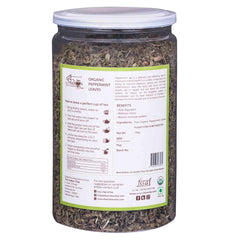 The Indian Chai Organic Peppermint Tea Leaves - 100gm, 3.5 Ounce | Loose Leaves Herbal Tea In Airtight Jar - Caffeine Free Green Tea