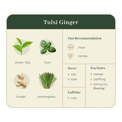 McLeod Russel 1869 Tulsi Ginger Green Tea - 100gm, 3.5 Ounce, 40+ Cups | Immunity-Booster Long Leaf Green Tea - Pure & Natural Tulsi & Ginger | Low Caffeine