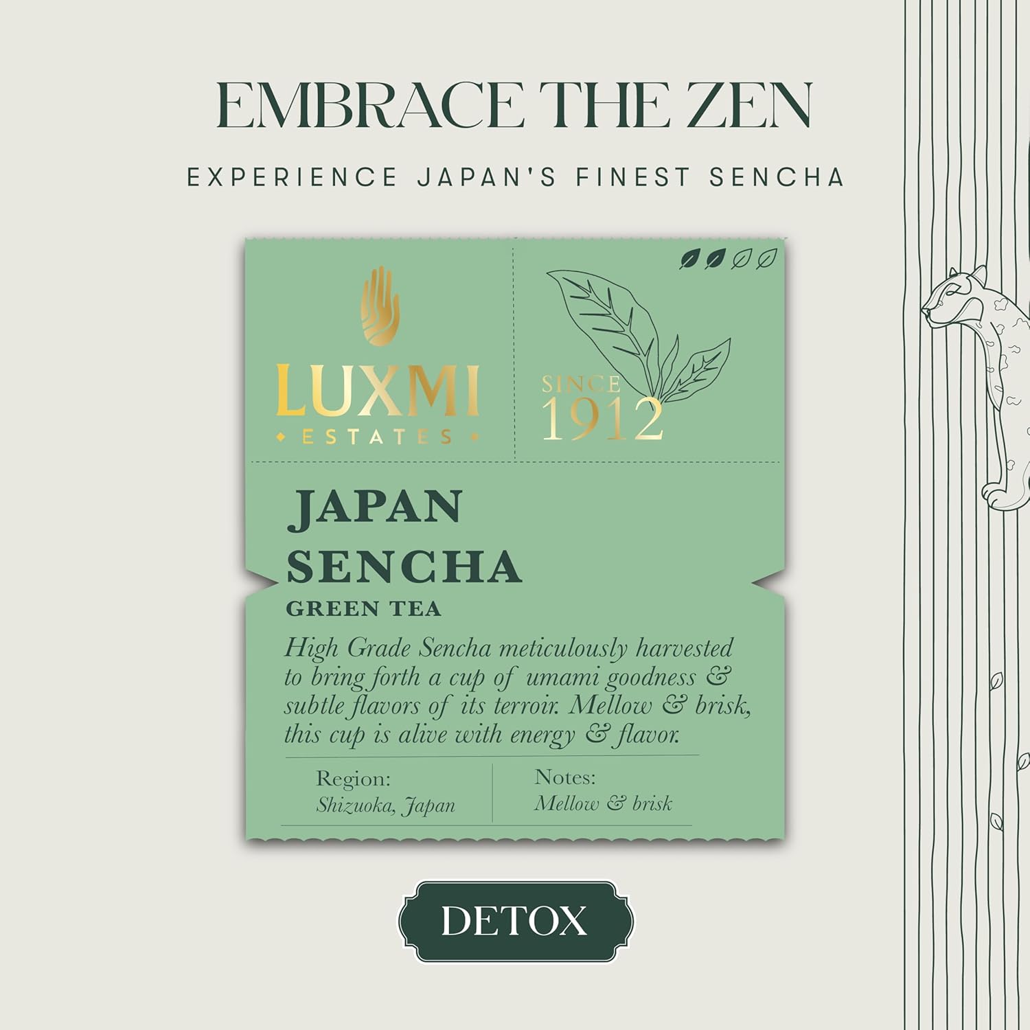 Luxmi Estates Japan Sencha Green Tea - 50gm, 1.7 Ounce | USDA Certified Organic Tea - Medium Caffeine Green Tea | Mild, Rich & Refreshing Premium Tea - Gluten Free, Additives Free Luxmi Estates Japan Sencha Green Tea - 50gm, 1.7 Ounce | USDA Certified Organic Tea - Medium Caffeine Green Tea | Mild, Rich & Refreshing Premium Tea - Gluten Free, Additives Free