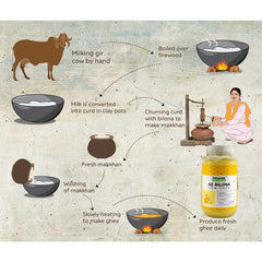 Premium A2 Bilona Desi Gir Cow Ghee By Organik Singh | Great Source Of Energy & Vitamin Healthy Desi Ghee Perfect For Boost Immunity | (500ml) 16.9 Ounce | Glass Jar