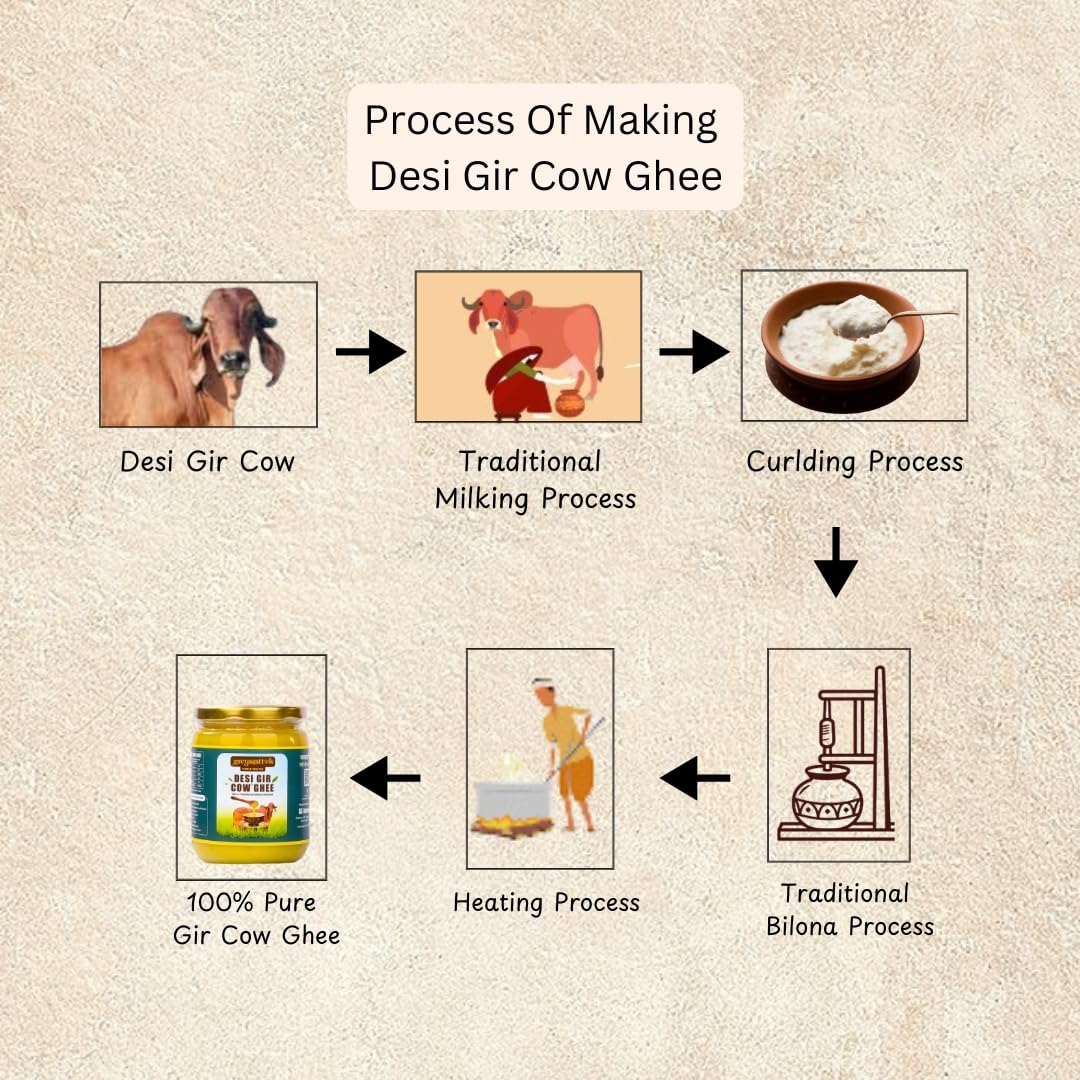 Natural Desi Gir Cow Ghee By Gavyasattvik | High In Protein Fiber Healthy Desi Cow Ghee Protact Eyesight | (500ml) 16.9 Ounce | Jar Pack Natural Desi Gir Cow Ghee By Gavyasattvik | High In Protein Fiber Healthy Desi Cow Ghee Protact Eyesight | (500ml) 16.9 Ounce | Jar Pack