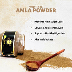 Mirasha Pure Amla Powder, Natural Source Of Vitamin C & Antioxidants, Help Keep Our Cells Healthy | 100gm 0.2lbs