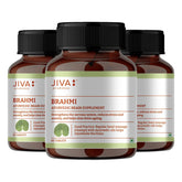 Jiva Brahmi 500mg 100% Ayurvedic Formulation Rejuvenates Nervous System, Reduces Stress, Anxiety & Slows Down Aging | 60 Tablets 100gm 0.2lbs Each Pack Of 3