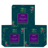 TGL Co. Geisha Green Tea - Pack Of 3 X 32gm, 1.1 Ounce Each, 48 Pyramid Tea Bags | Improves Bone Health, Immunity Booster - Medium Caffeine