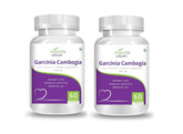 Natures Velvet Lifecare Garcinia Cambogia Pure Extract 500mg It Helps In Maintaining Cholesterol Level | 60 Veggie Capsules 100gm 0.2lbs Each Pack Of 2