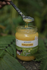 Natural Malnad Gidda Cow Ghee By Gorochana | Rich In Nutrients & Immunity Natural & Healthy Cultured Desi Ghee | (500ml) 16.9 Ounce | Jar Pack