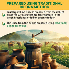 Natural Premium Cow'S Desi Gir Sahiwal Ghee By Just Organik | Rich In Nutrients Flavor Sahiwal Cow Ghee For Digestive Health | (500ml) 16.9 Ounce | Jar Pack