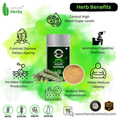 Nature Herbs 100% Pure Giloy Powder, Helps Improve Digestion & Boost Immunity | 200gm 0.4lbs Each Pack Of 4
