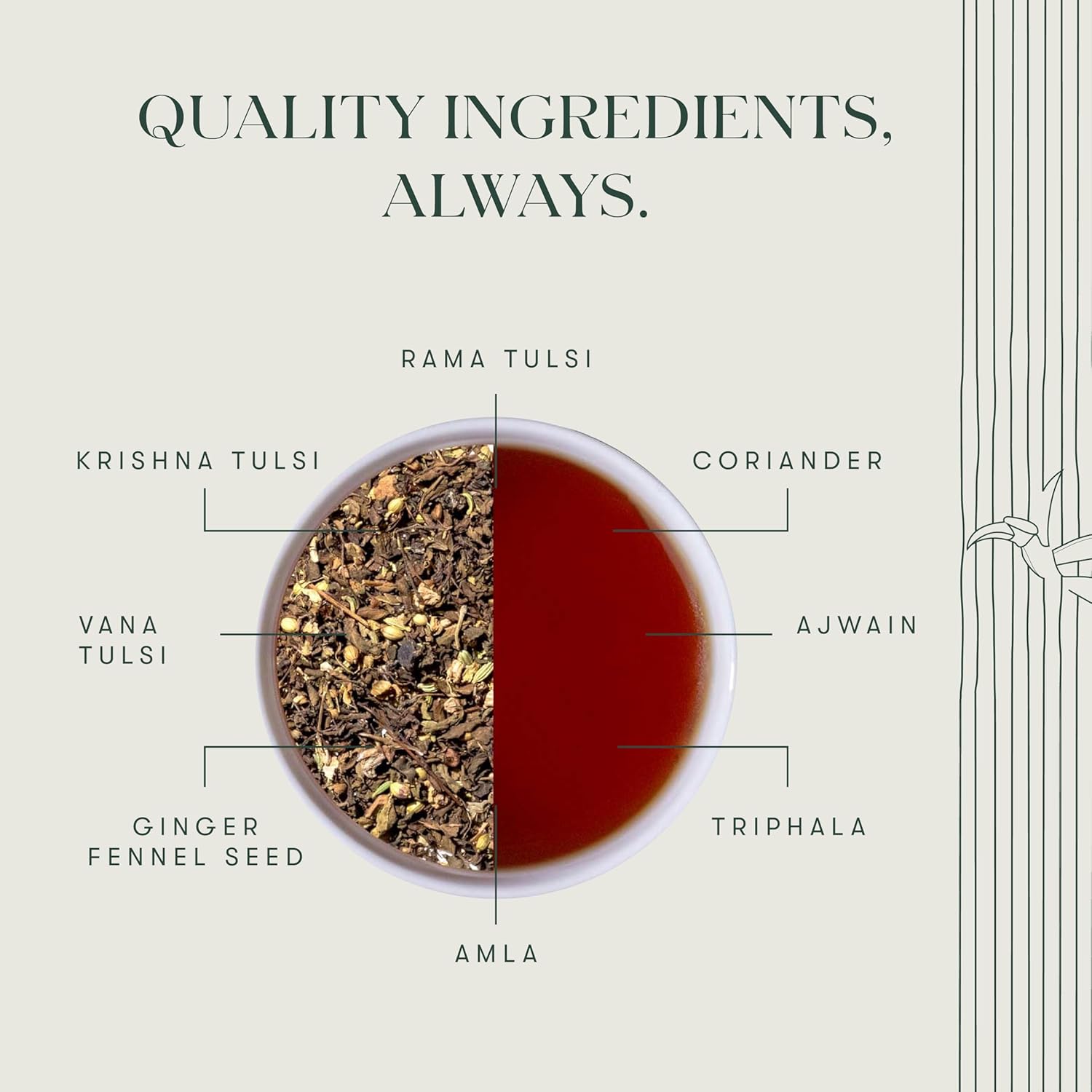 Luxmi Estates Holy Tea Powder - 50gm Tin, 1.7 Ounce | USDA Certified Organic Tulsi + Ginger Herbal Tea - Caffeine Free Herbal Tea | Immune Support, Relief & Uplift Mood Luxmi Estates Holy Tea Powder - 50gm Tin, 1.7 Ounce | USDA Certified Organic Tulsi + Ginger Herbal Tea - Caffeine Free Herbal Tea | Immune Support, Relief & Uplift Mood