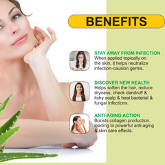 Pronatural Pure & Natural Aloe Vera Powder For Eating & Drinking, Made From Premium Quality | 400gm 0.8lbs