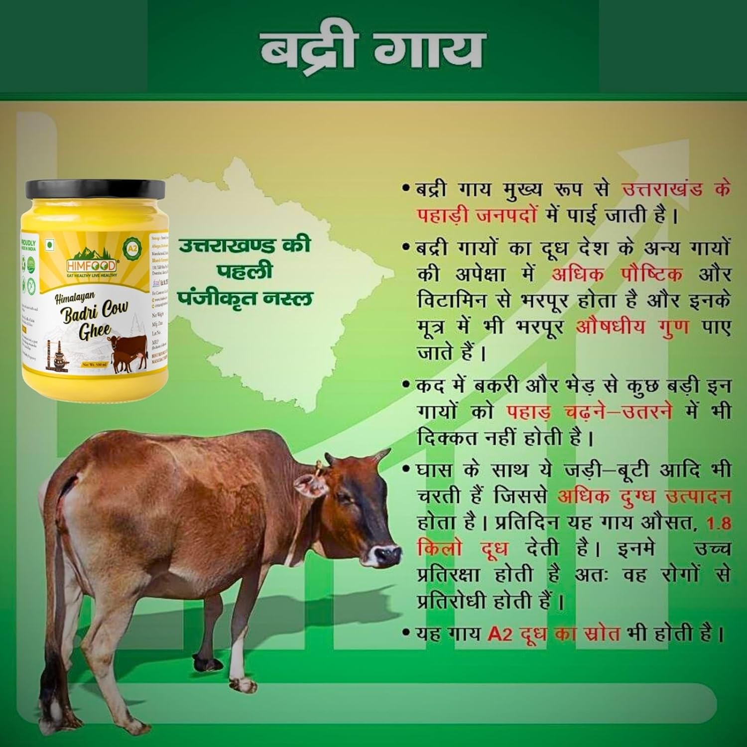 Organic Himalayan Badri Cow Ghee By Himfood | Highly Nutritious Helps Keep Your Heart Healthy Desi Cow Ghee | (500ml) 16.9 Ounce | Jar Pack Organic Himalayan Badri Cow Ghee By Himfood | Highly Nutritious Helps Keep Your Heart Healthy Desi Cow Ghee | (500ml) 16.9 Ounce | Jar Pack