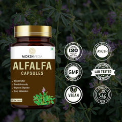 Mokshveda Alfalfa Capsule May Used For Bone & Joint Support Pain Relief, Immunity & Blood Purification | 60 Capsules, 100gm 0.2lbs