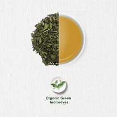 TGL Co. Organic Green Tea - Pack Of 2 X 16 Pyramid Tea Bags, 64gm, 2.2 Ounce | Rich In Anti Oxidant, Improve Digestion - Medium Caffeine, No Artificial Flavor